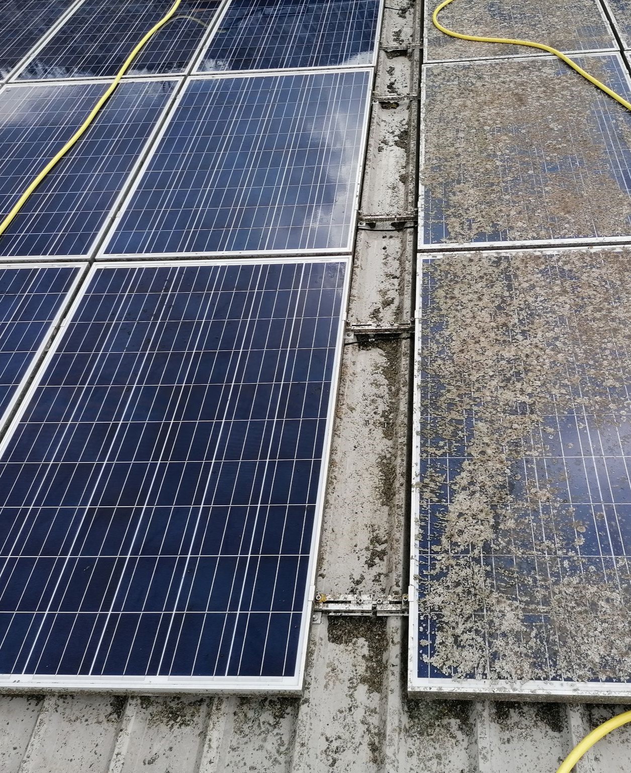 Commercial Solar Panel Cleaning