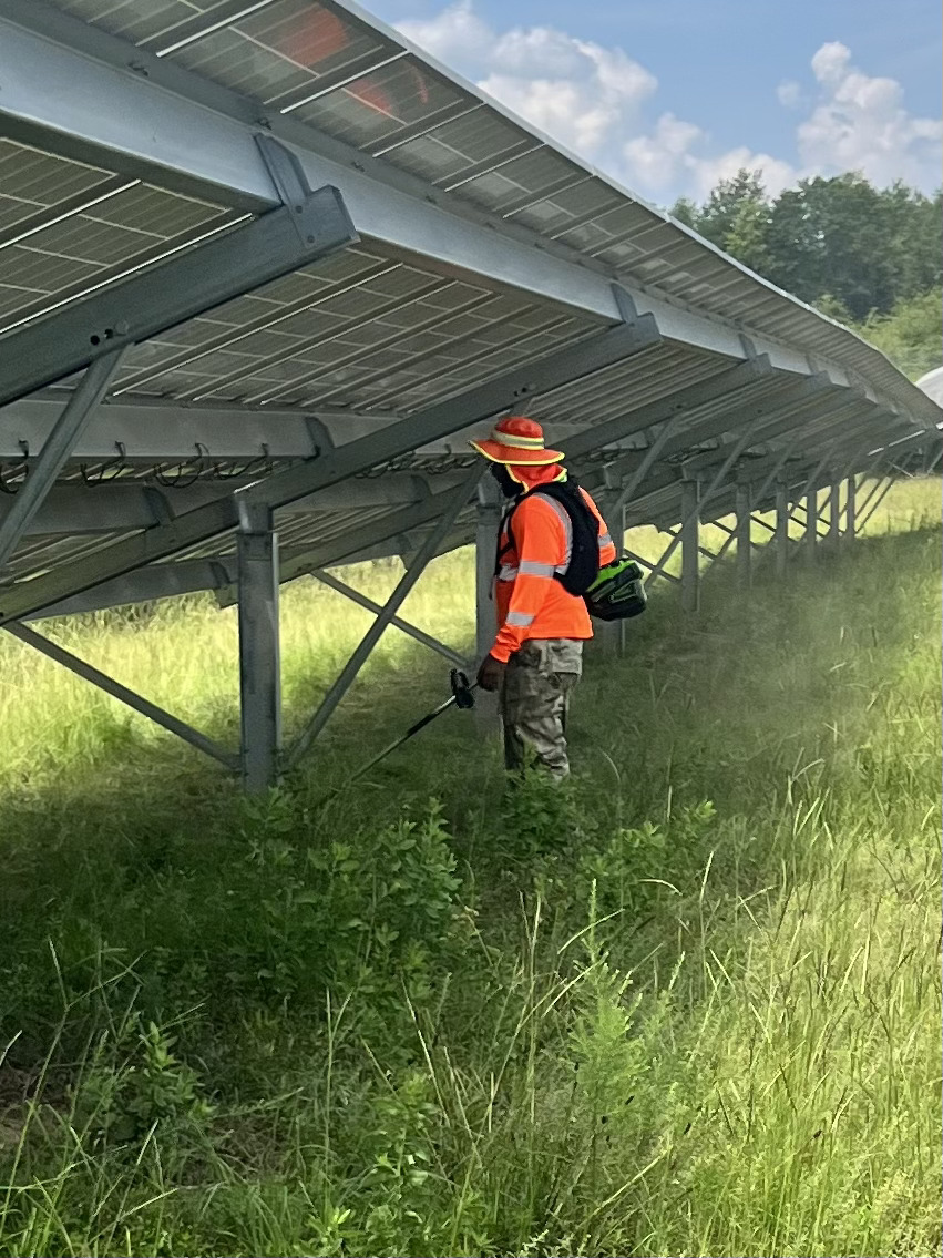 Solar Farm Vegetation Management